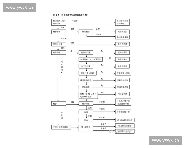 男性健康新趋势：男科疾病预防与治疗的最新研究与发展动态